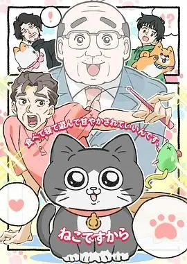 爆笑来袭！《转生成猫的大叔》：当油腻大叔变成喵星人，会发生什么？